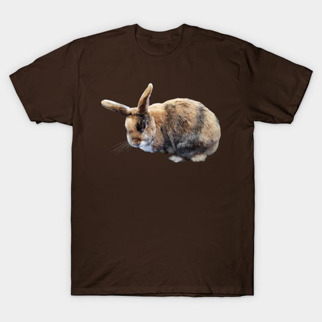 Brown and Tan Rabbit T-Shirt by SusanSavad